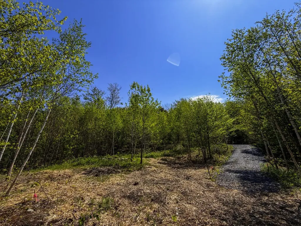 Lot 5 Highview Road Warren VT 05674