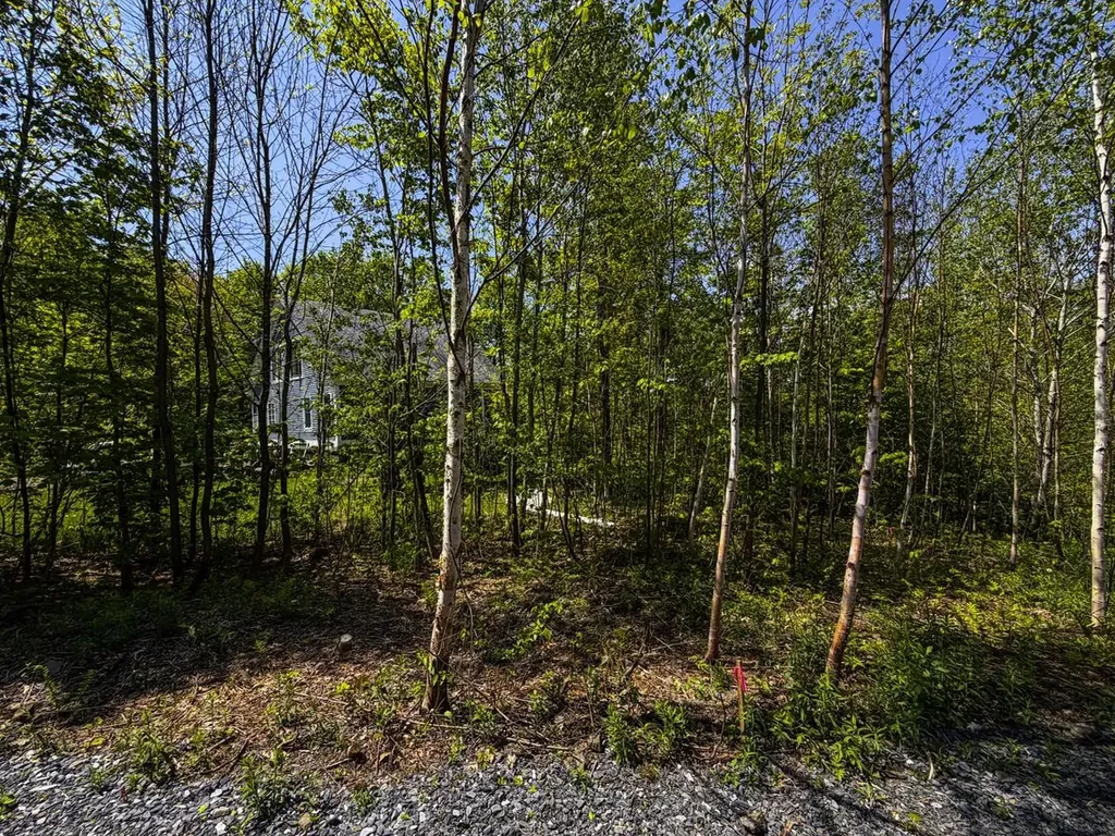 Lot 5 Highview Road Warren VT 05674