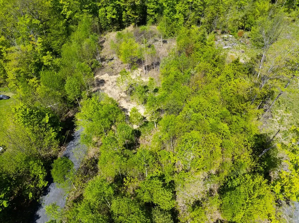 Lot 5 Highview Road Warren VT 05674