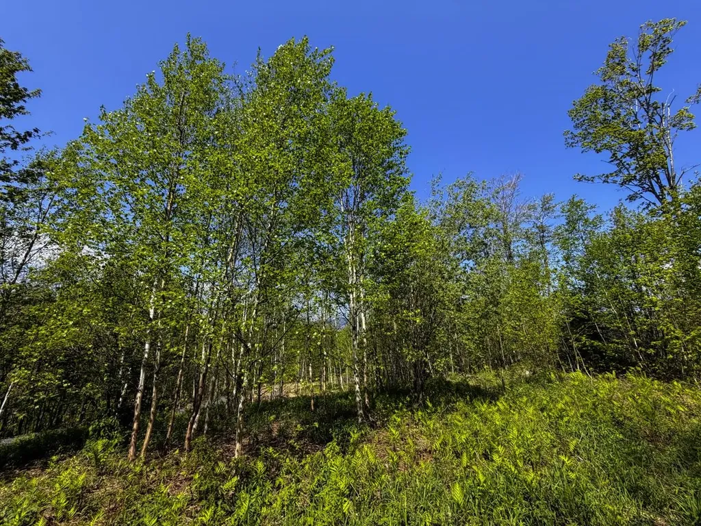 Lot 5 Highview Road Warren VT 05674