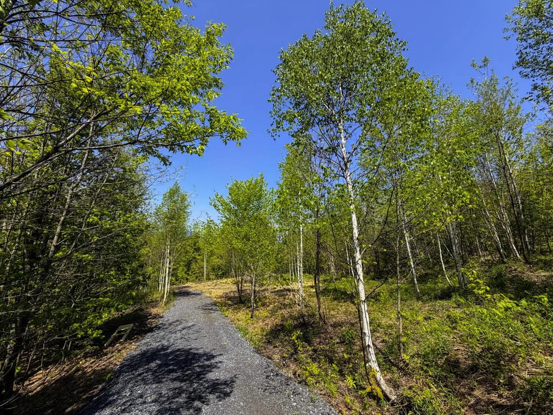 Lot 5 Highview Road Warren VT 05674