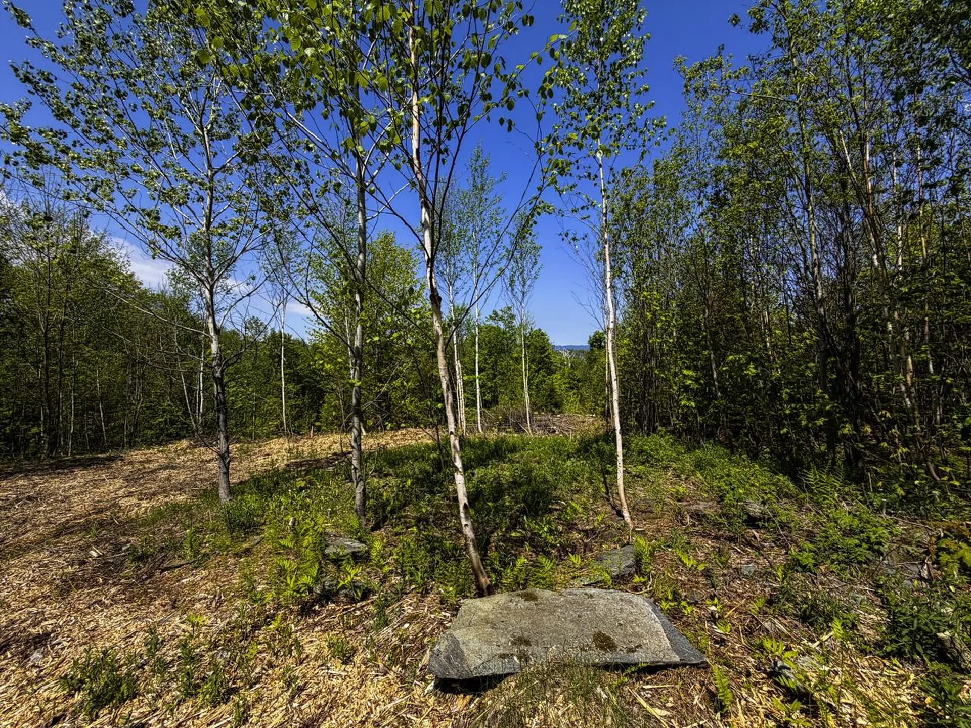 Lot 5 Highview Road Warren VT 05674