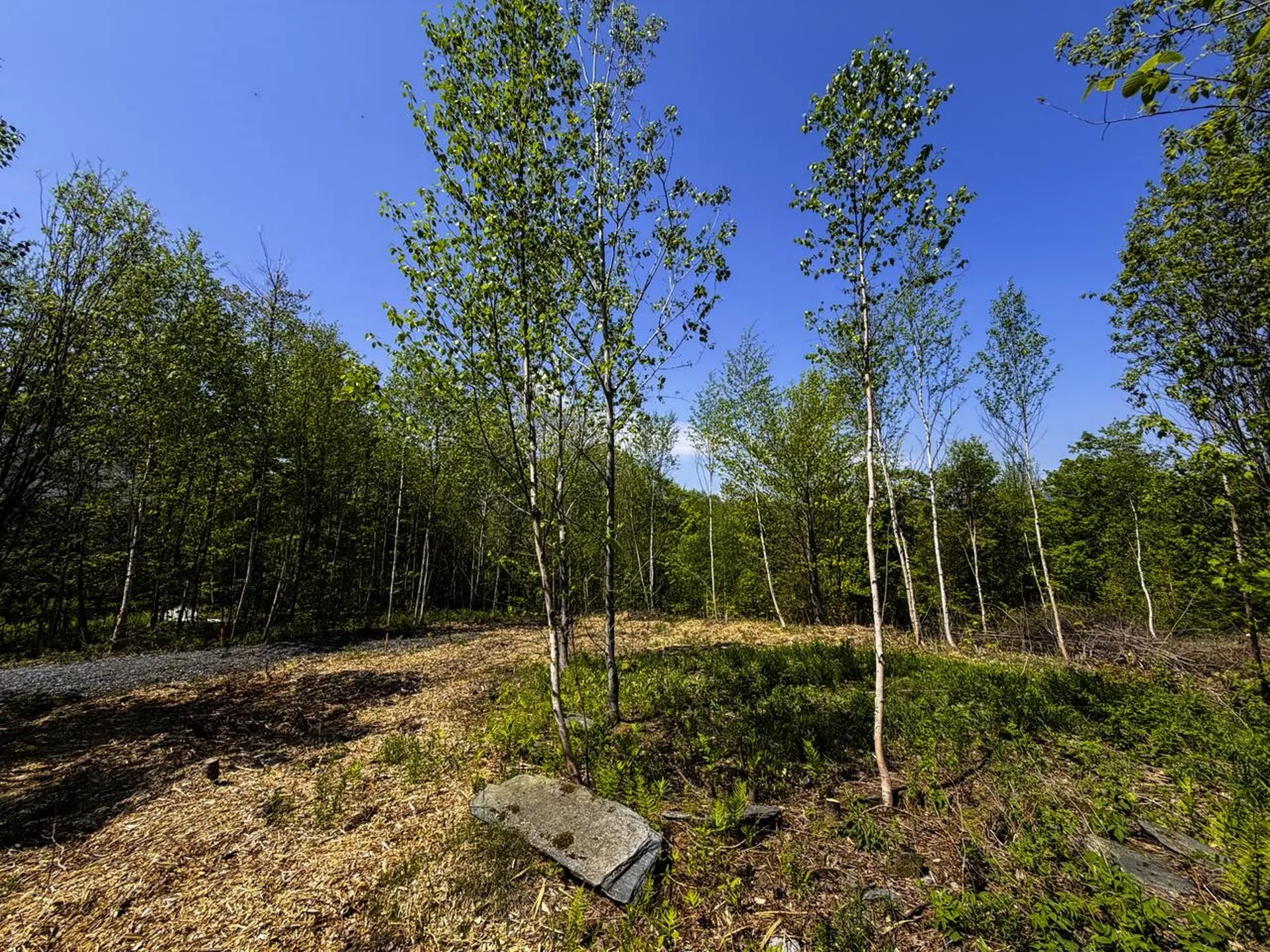 Lot 5 Highview Road Warren VT 05674