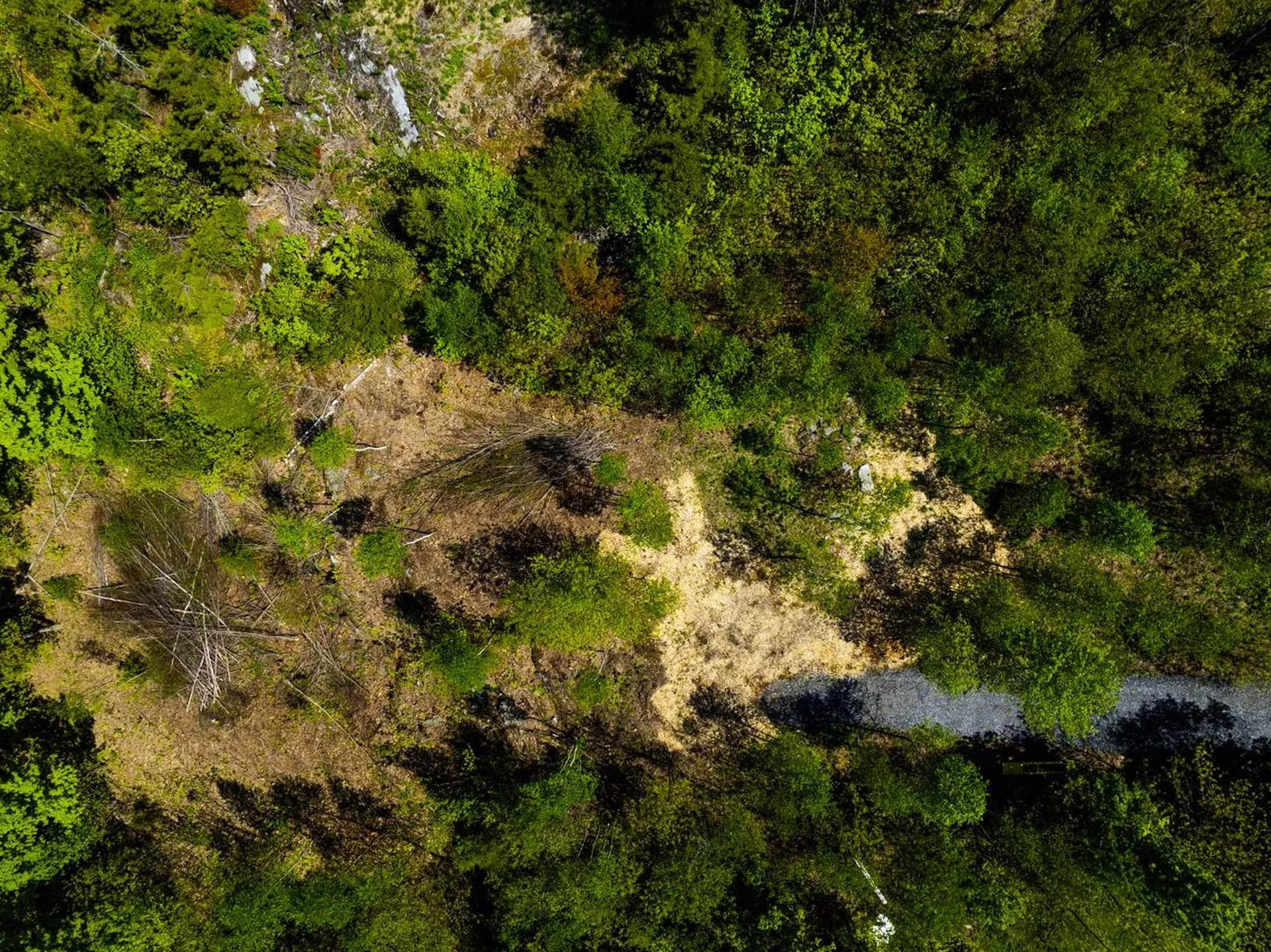 Lot 5 Highview Road Warren VT 05674