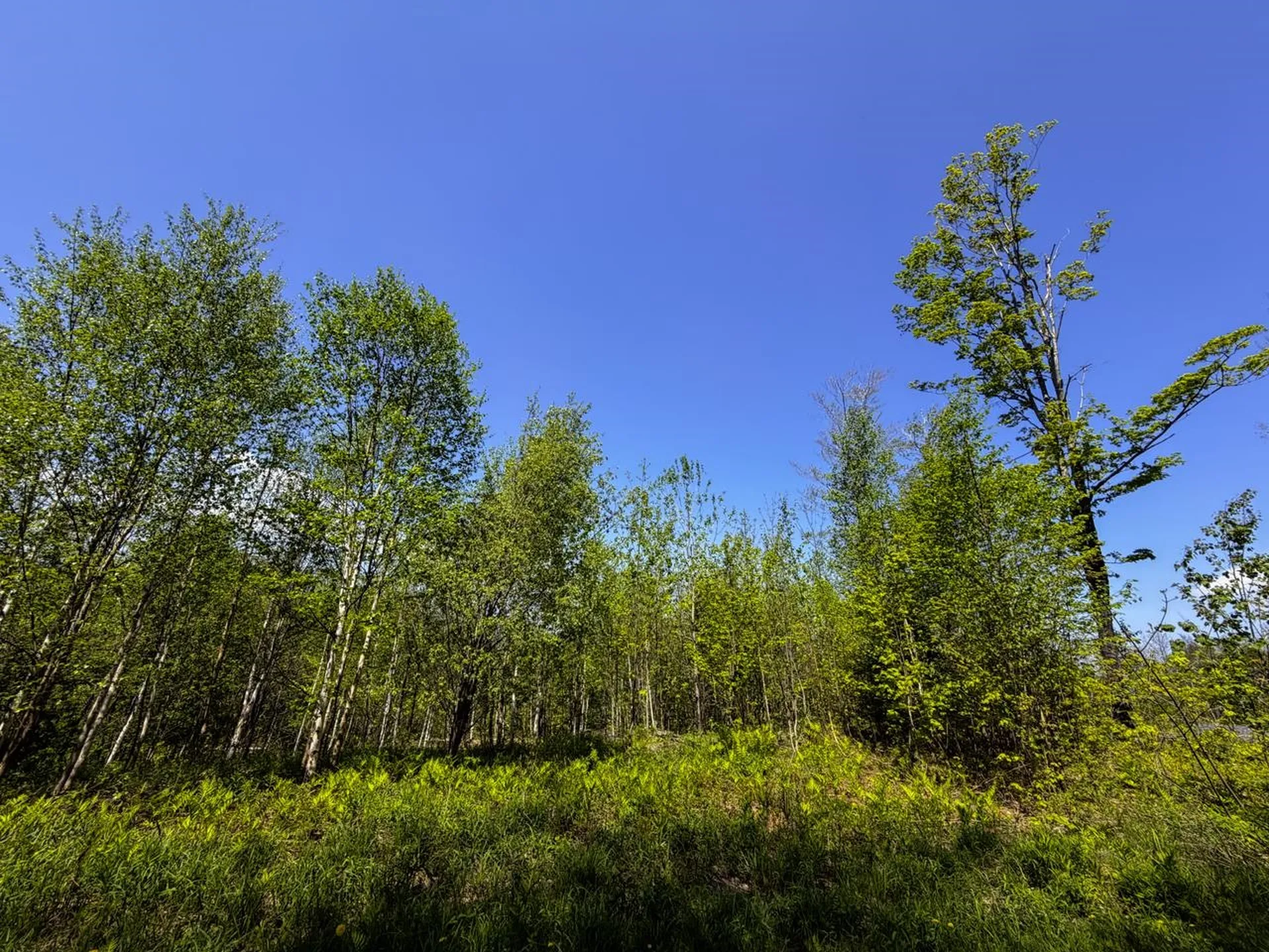 Lot 5 Highview Road Warren VT 05674