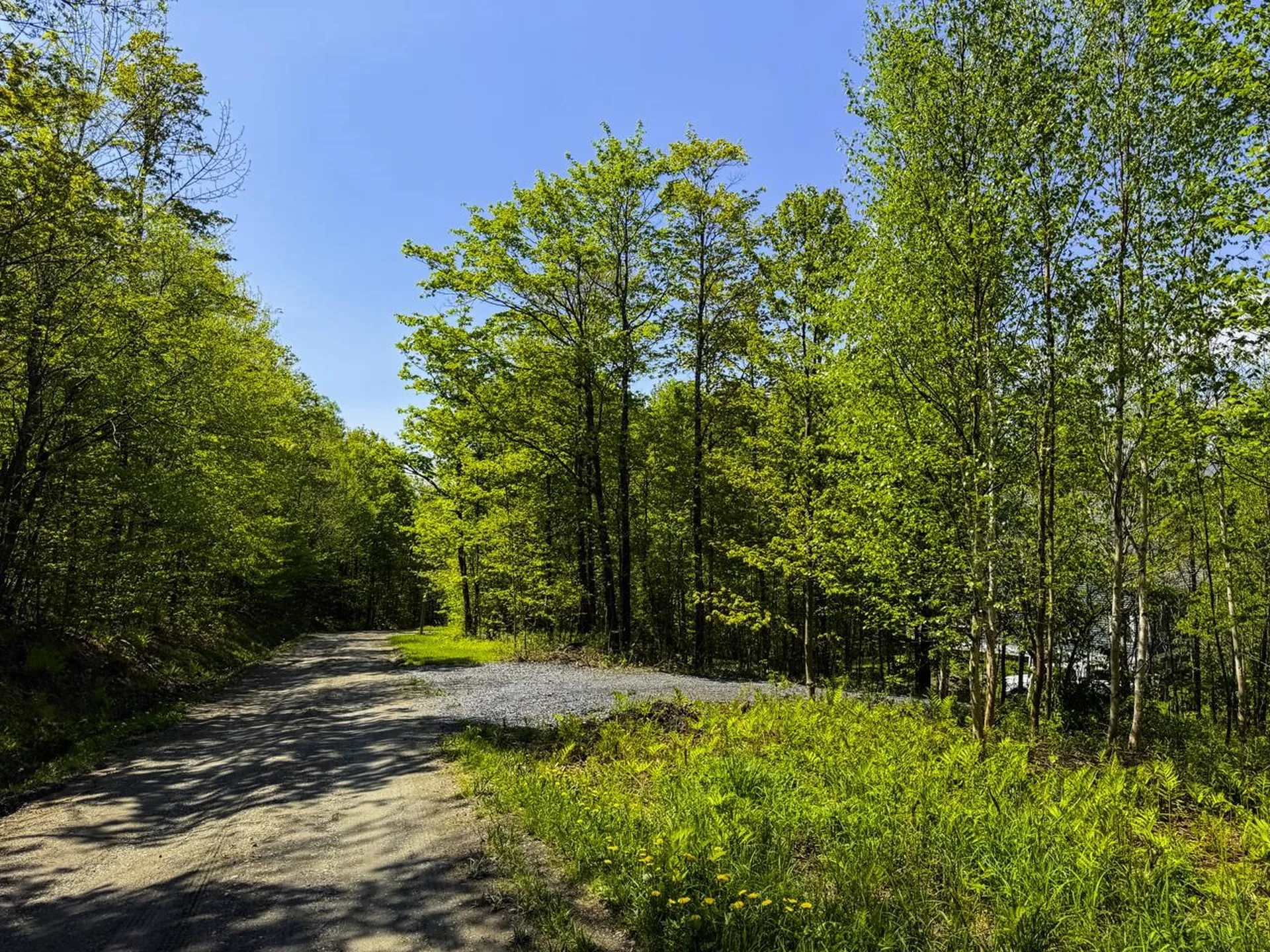 Lot 5 Highview Road Warren VT 05674