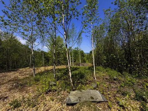 Lot 5 Highview Road Warren VT 05674