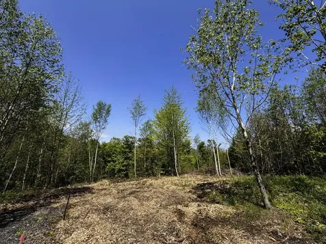Lot 5 Highview Road Warren VT 05674