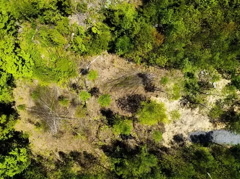 Lot 5 Highview Road Warren VT 05674
