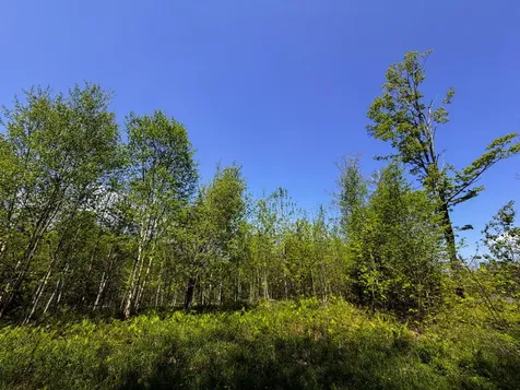 Lot 5 Highview Road Warren VT 05674