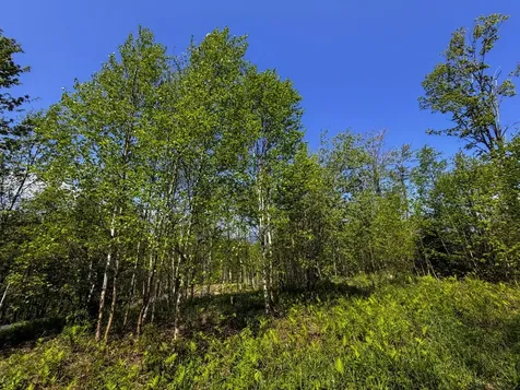 Lot 5 Highview Road Warren VT 05674