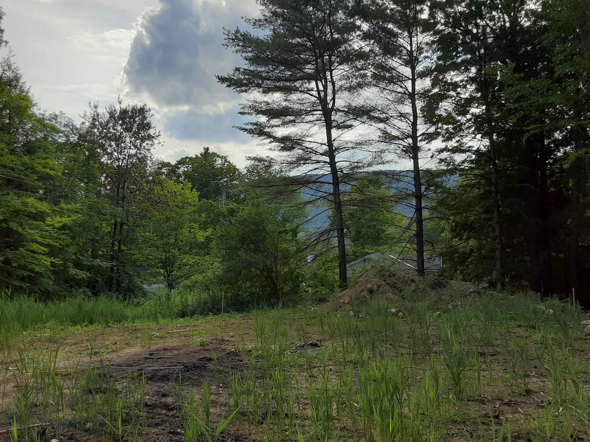 82 South Ln. Lane West Rutland VT 05777