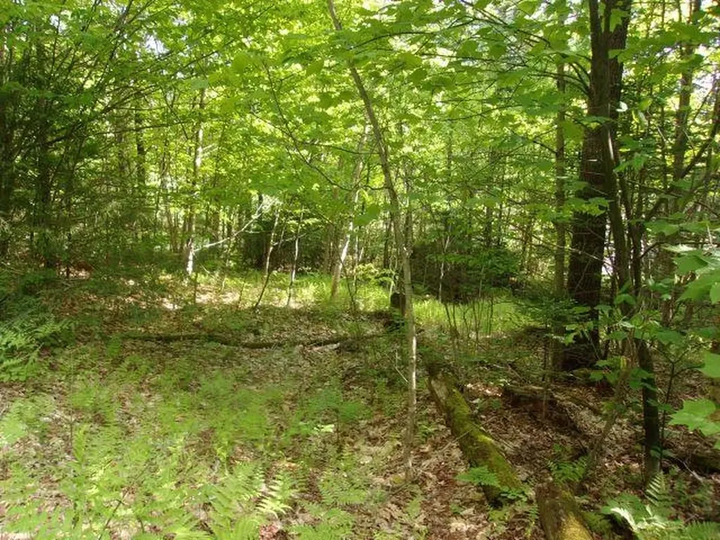 Lincoln Way Road Haverhill NH 03785