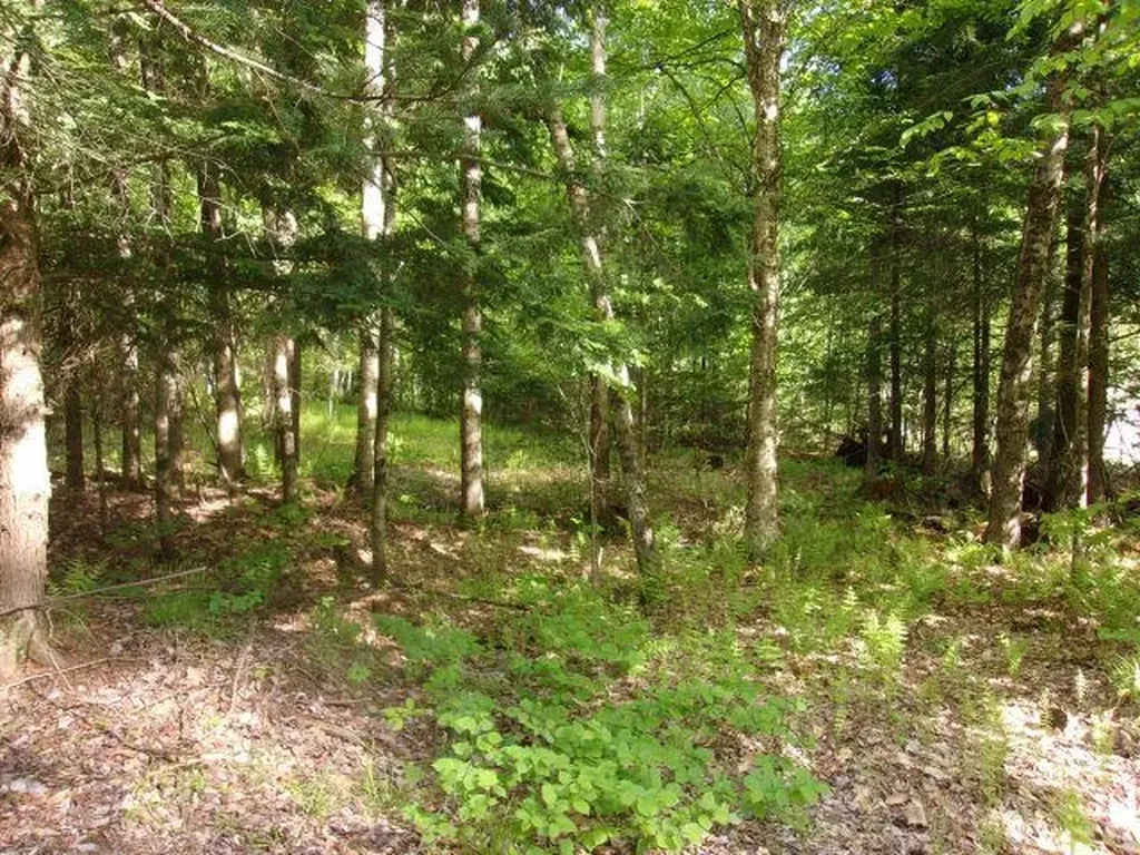 Lincoln Way Road Haverhill NH 03785
