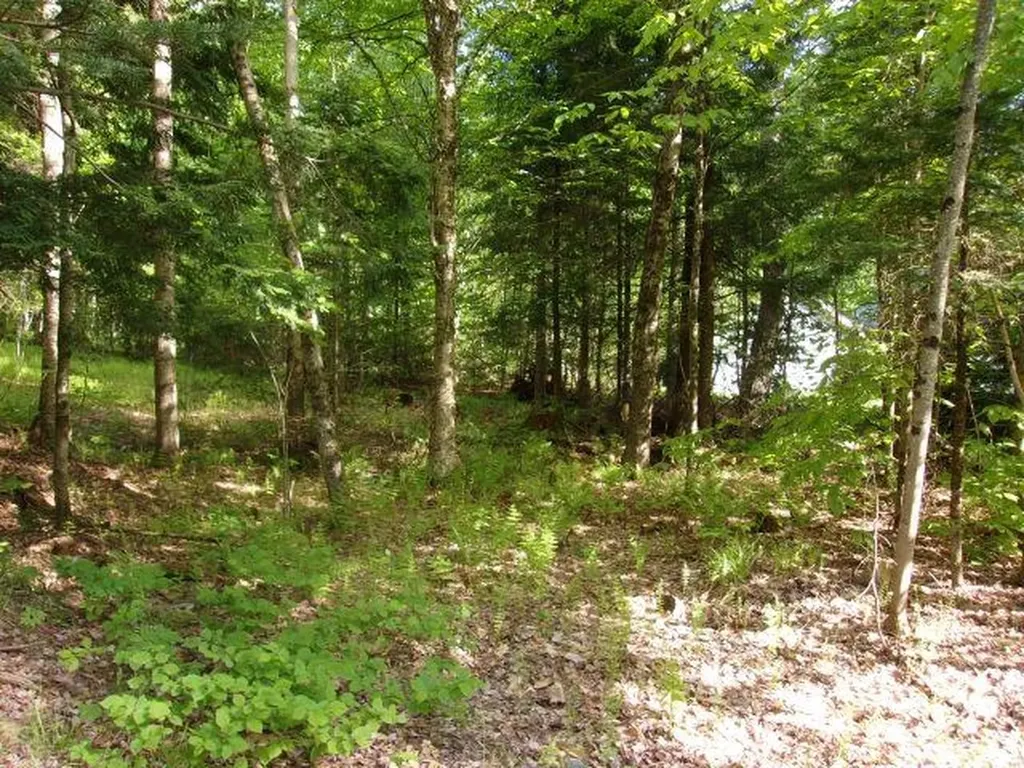 Lincoln Way Road Haverhill NH 03785