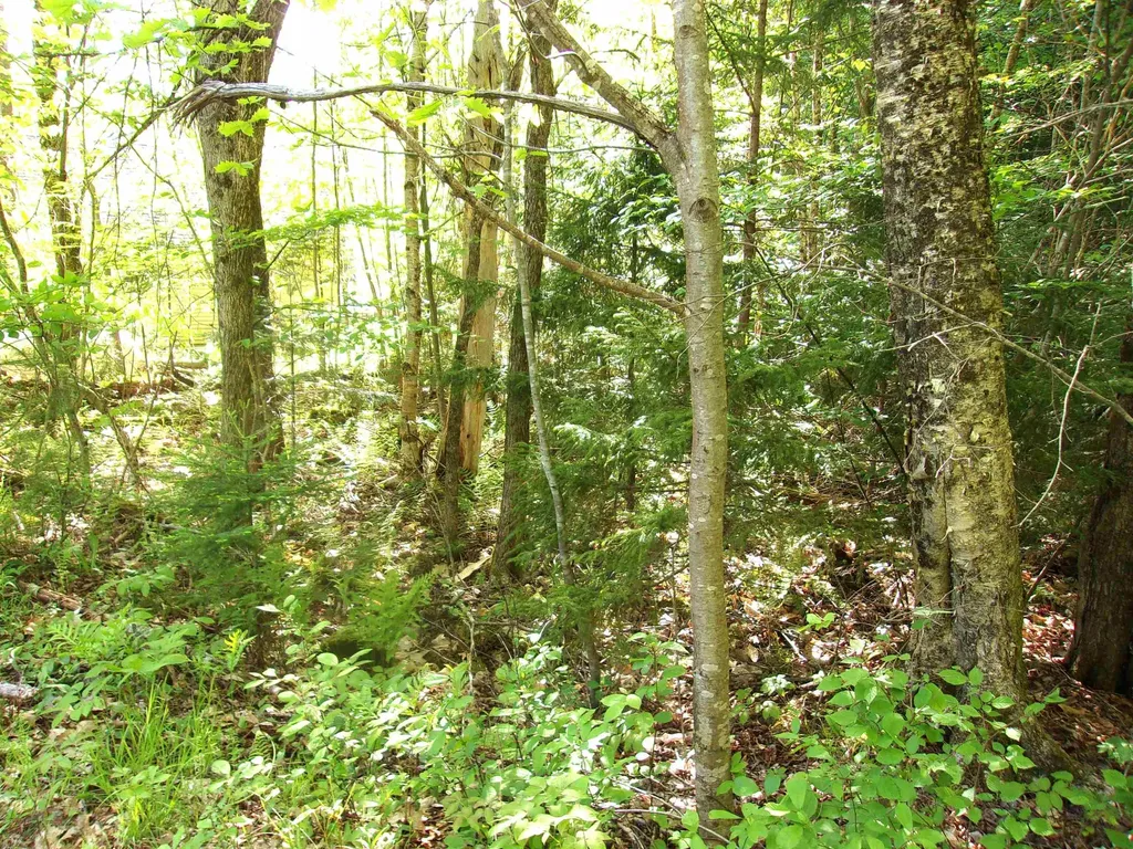Lincoln Way Road Haverhill NH 03785