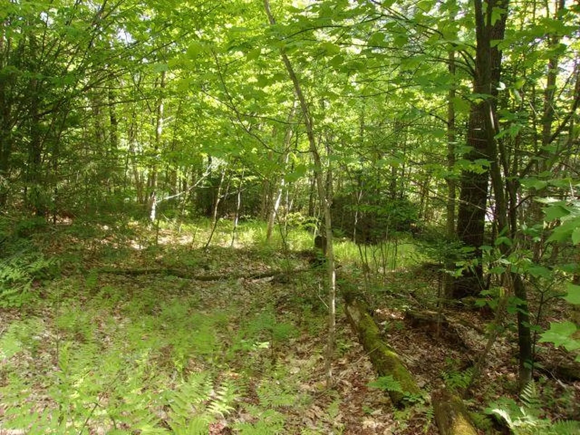 Lincoln Way Road Haverhill NH 03785