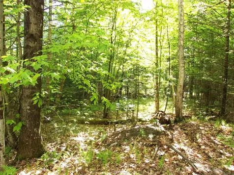 Lincoln Way Road Haverhill NH 03785
