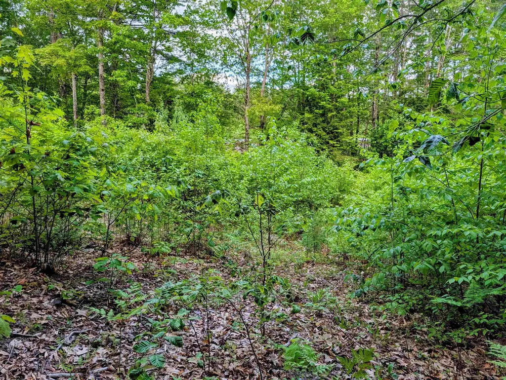 00 Access Road Wakefield NH 03887