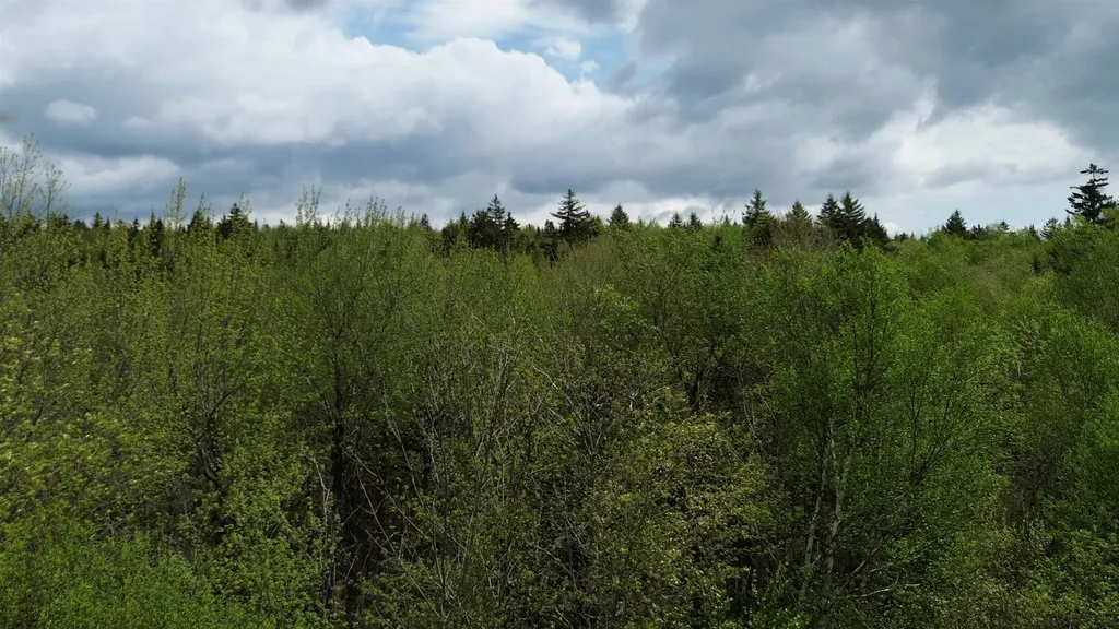 Map 8 Lot 29 Martin Rd Road Washington NH 03280
