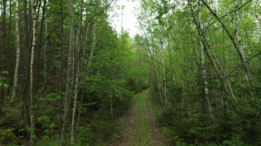 Map 8 Lot 29 Martin Rd Road Washington NH 03280