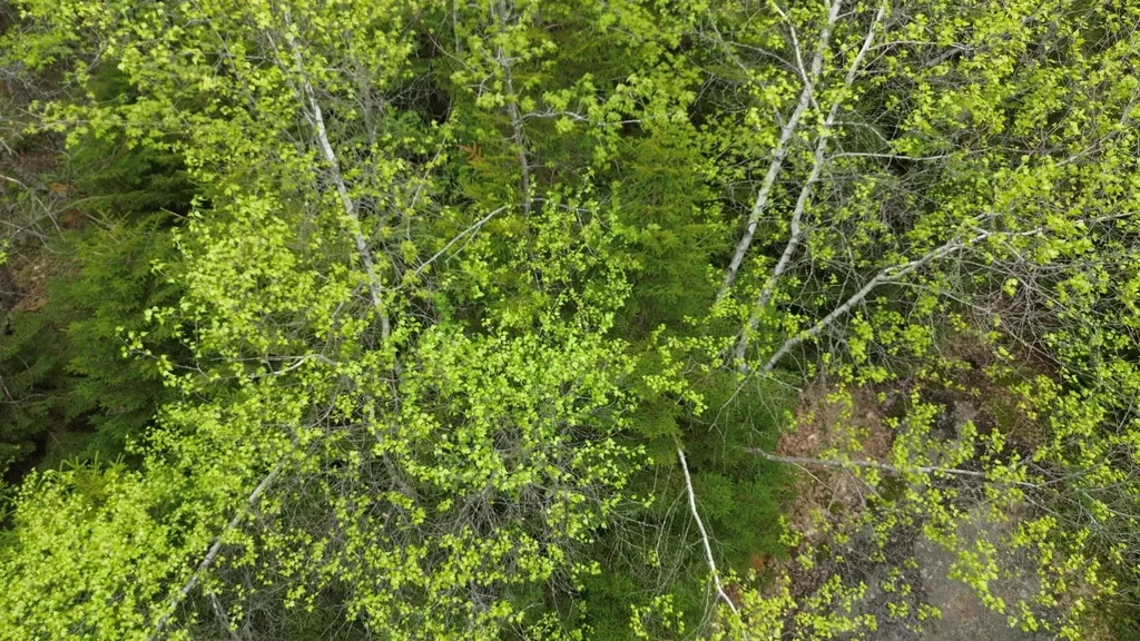 Map 8 Lot 29 Martin Rd Road Washington NH 03280