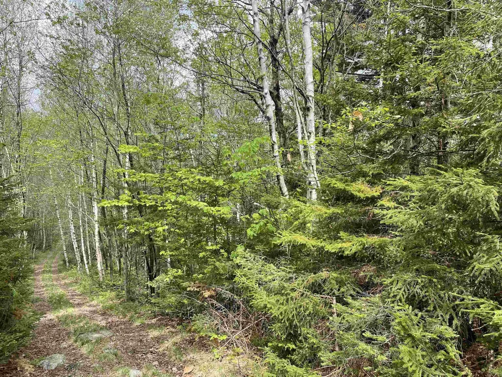 Map 8 Lot 29 Martin Rd Road Washington NH 03280