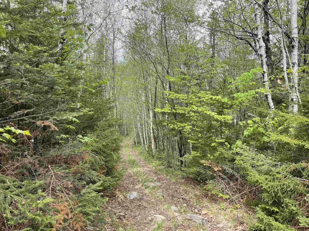 Map 8 Lot 29 Martin Rd Road Washington NH 03280