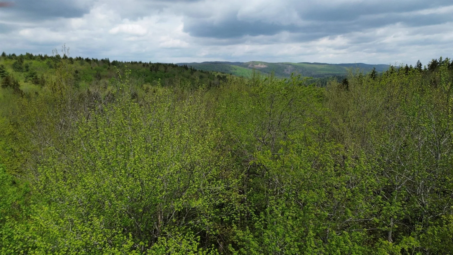 Map 8 Lot 29 Martin Rd Road Washington NH 03280