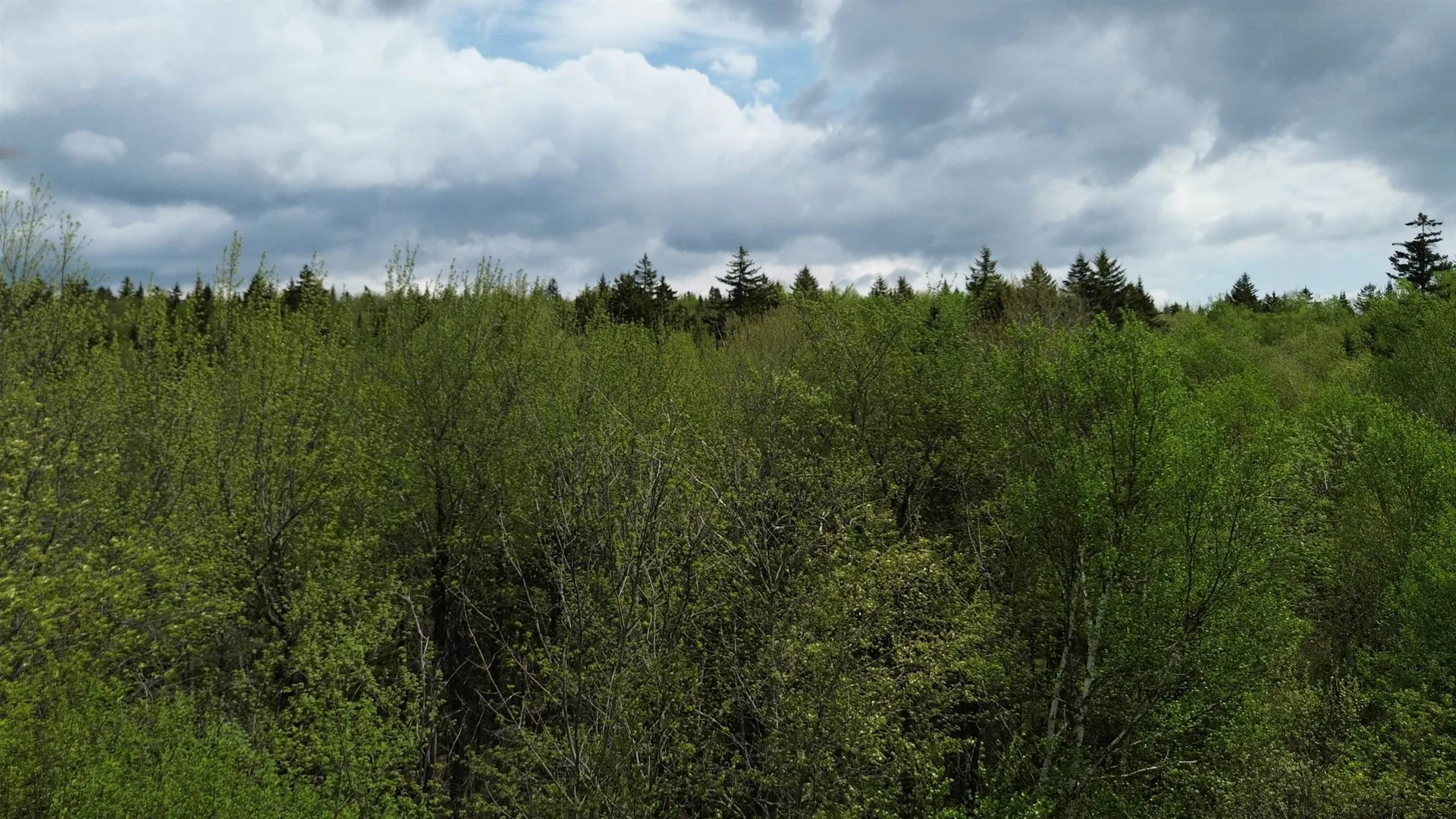 Map 8 Lot 29 Martin Rd Road Washington NH 03280