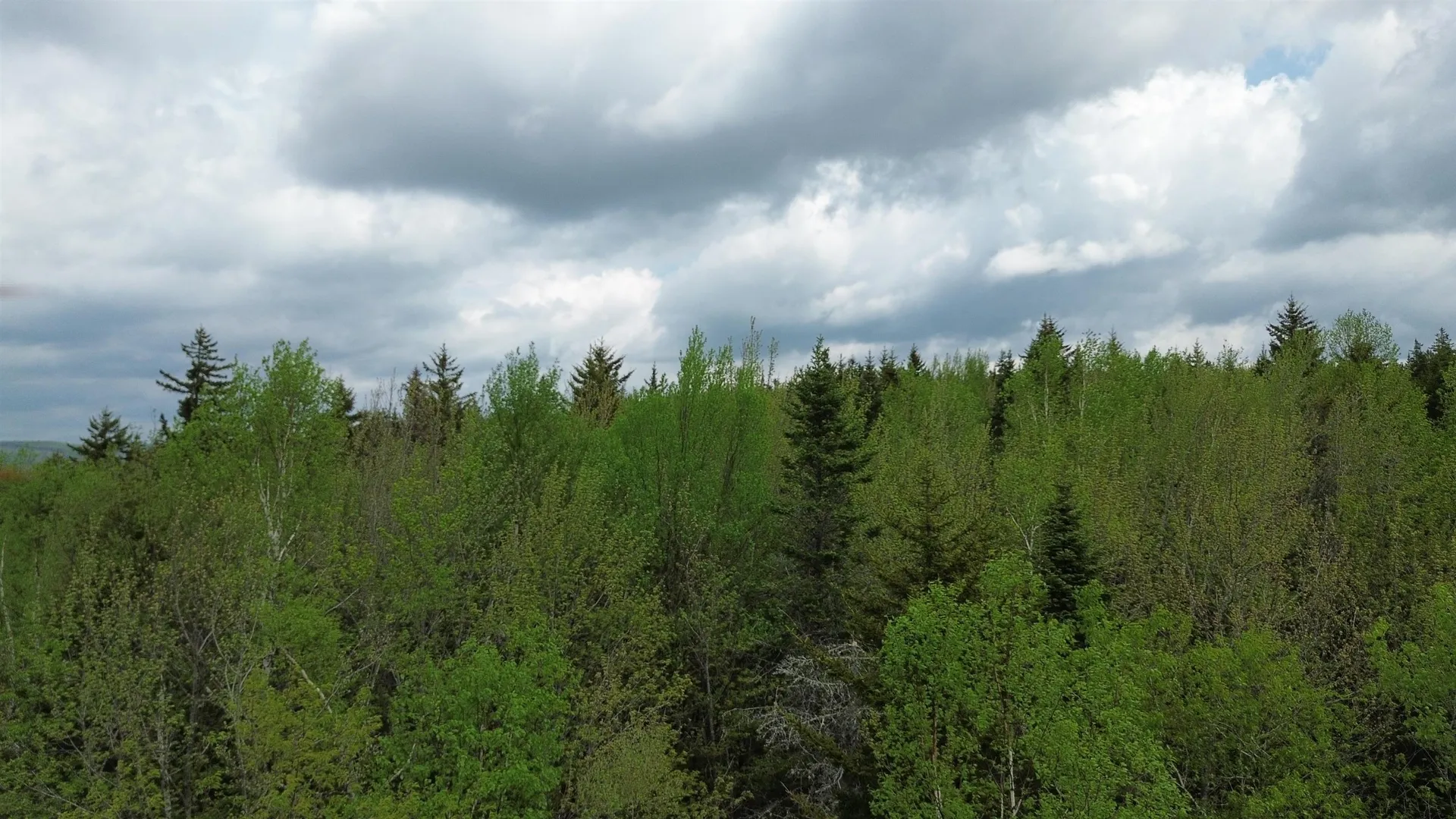 Map 8 Lot 29 Martin Rd Road Washington NH 03280