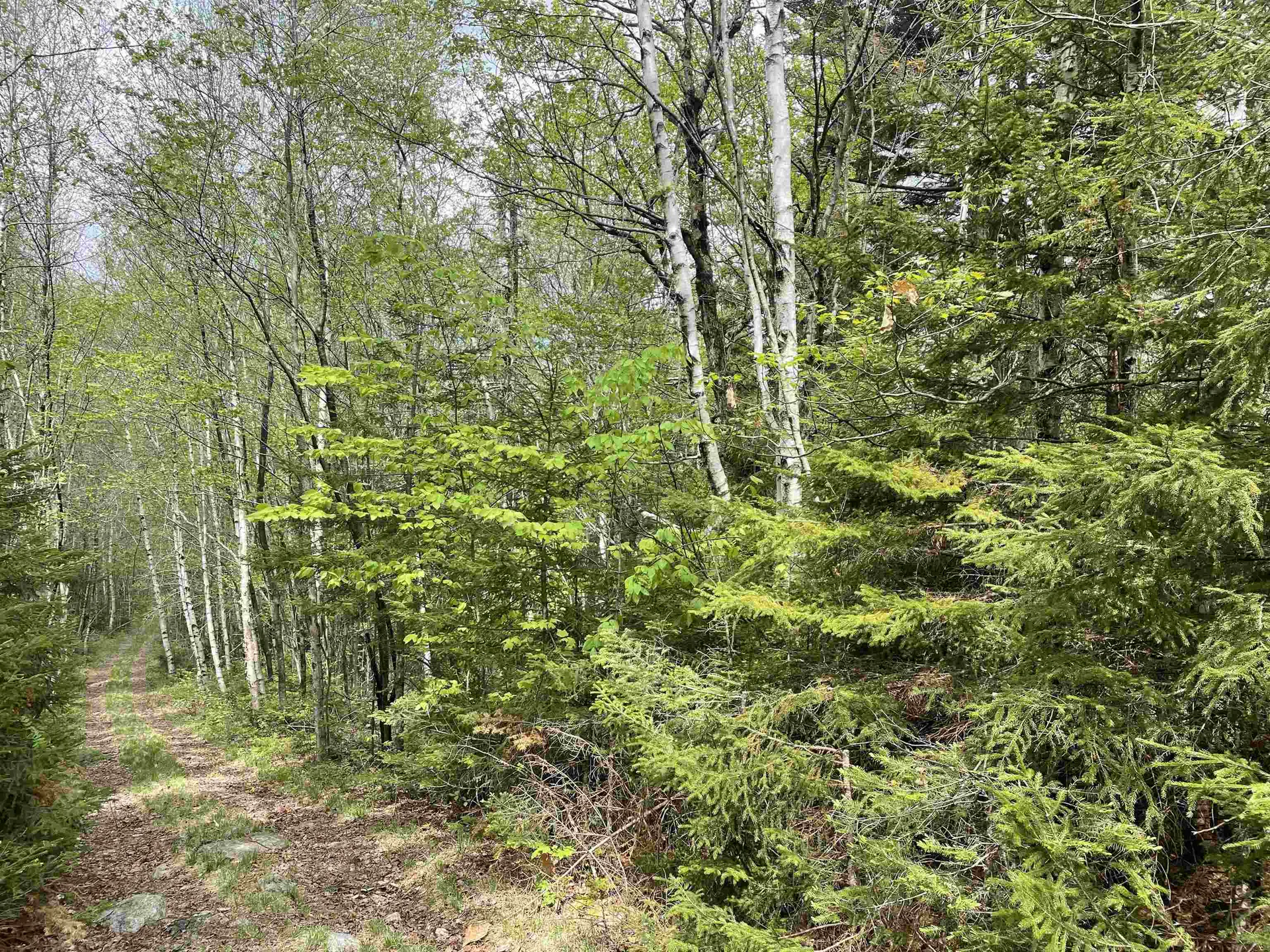 Map 8 Lot 29 Martin Rd Road Washington NH 03280