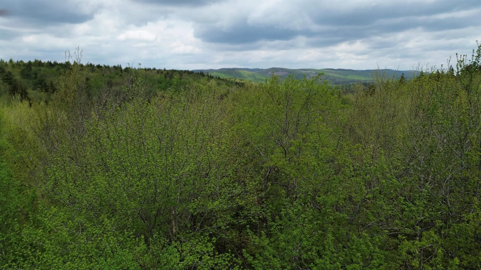 Map 8 Lot 29 Martin Rd Road Washington NH 03280