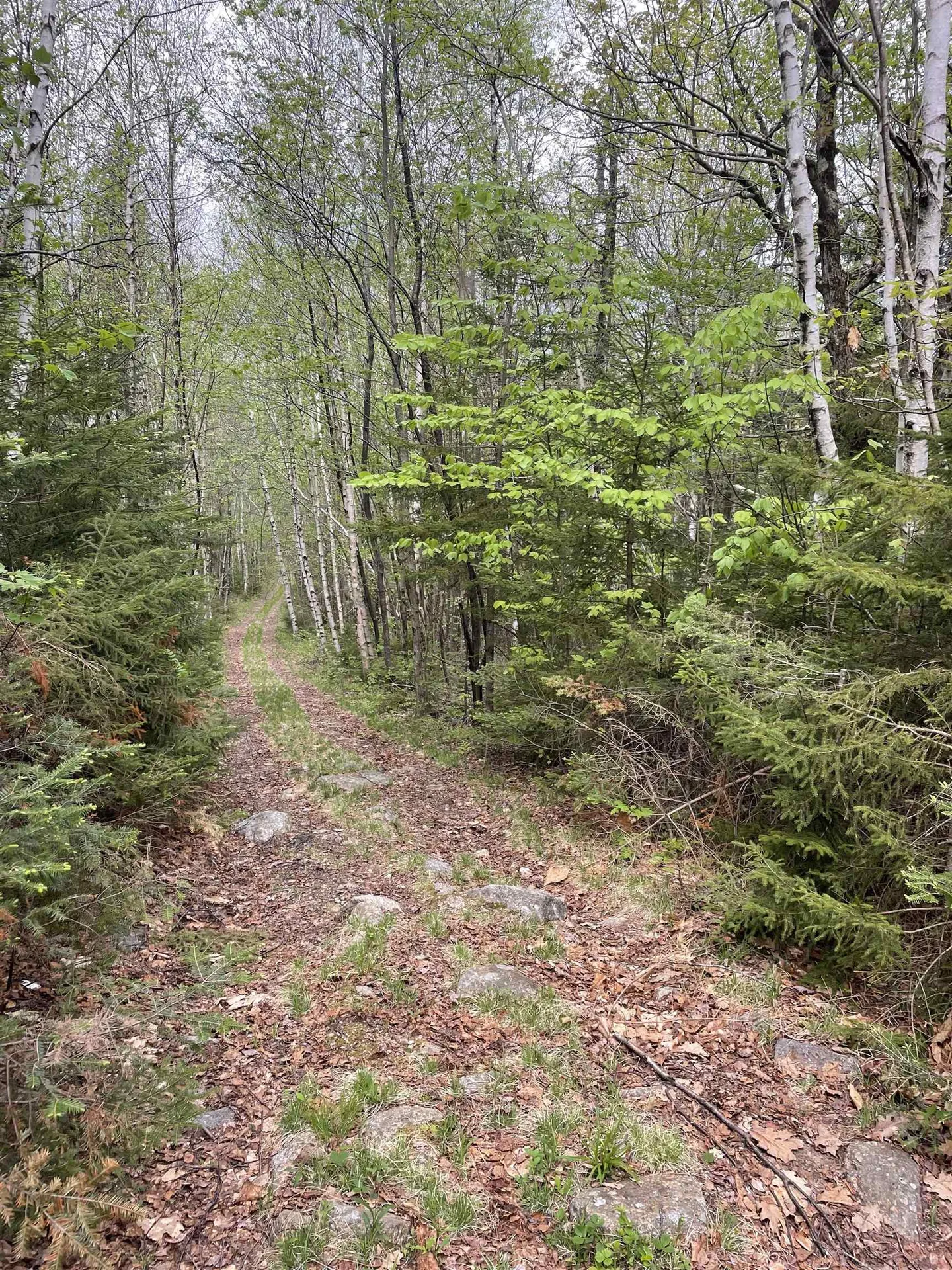 Map 8 Lot 29 Martin Rd Road Washington NH 03280