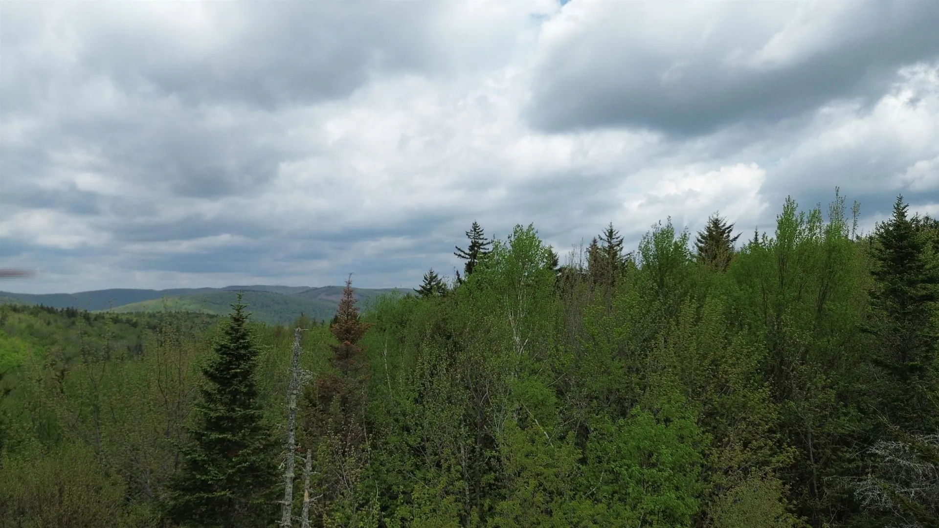 Map 8 Lot 29 Martin Rd Road Washington NH 03280
