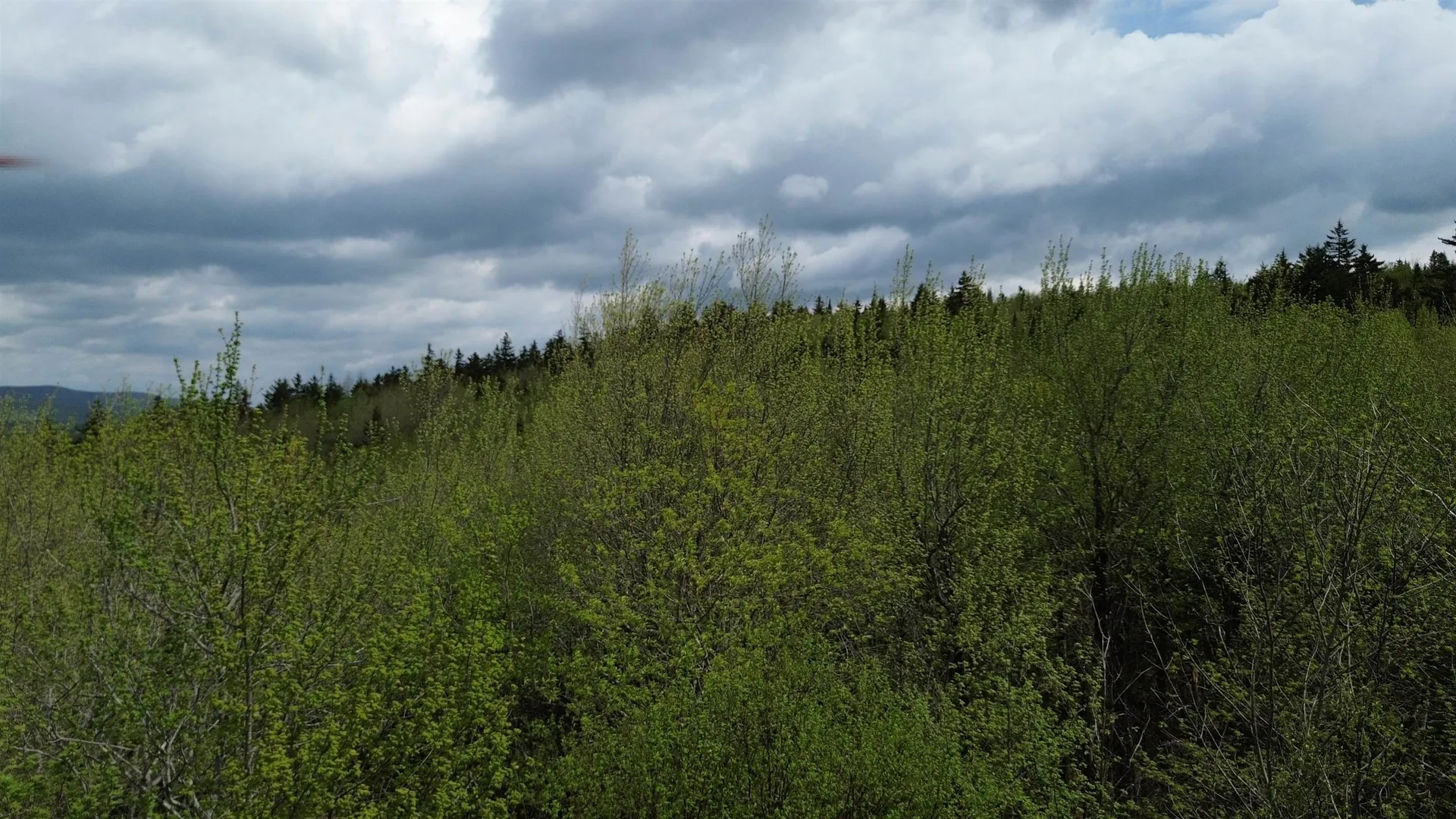 Map 8 Lot 29 Martin Rd Road Washington NH 03280