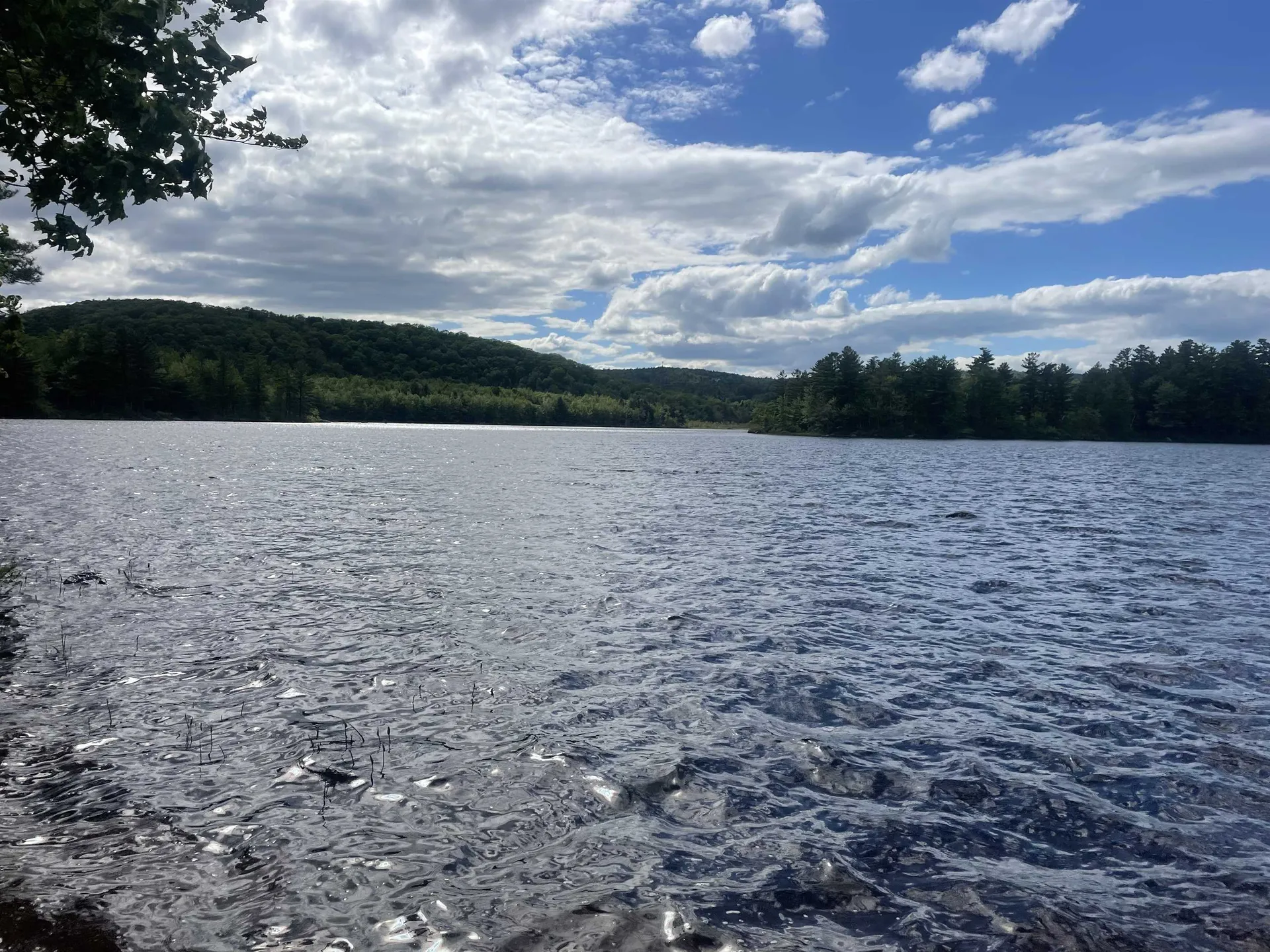 Map 8 Lot 29 Martin Rd Road Washington NH 03280