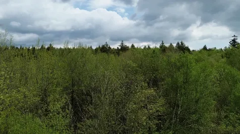 Map 8 Lot 29 Martin Rd Road Washington NH 03280