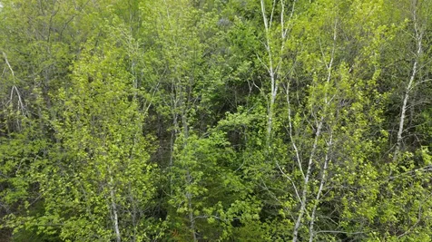Map 8 Lot 29 Martin Rd Road Washington NH 03280