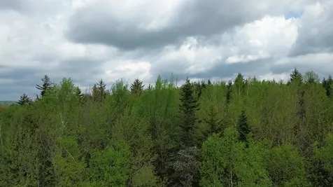 Map 8 Lot 29 Martin Rd Road Washington NH 03280