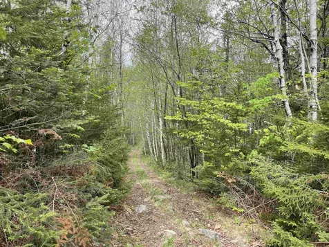 Map 8 Lot 29 Martin Rd Road Washington NH 03280