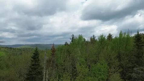 Map 8 Lot 29 Martin Rd Road Washington NH 03280