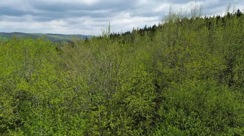 Map 8 Lot 29 Martin Rd Road Washington NH 03280