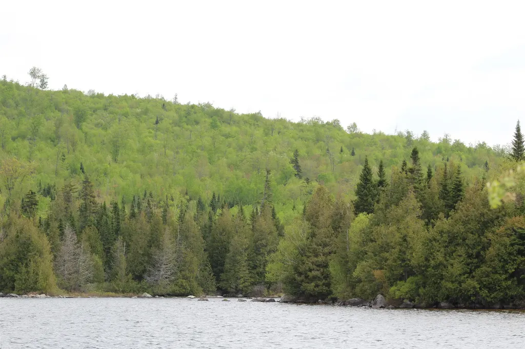 49 Pond Outlet Road Millsfield NH 03576