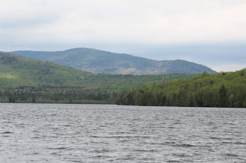 49 Pond Outlet Road Millsfield NH 03576