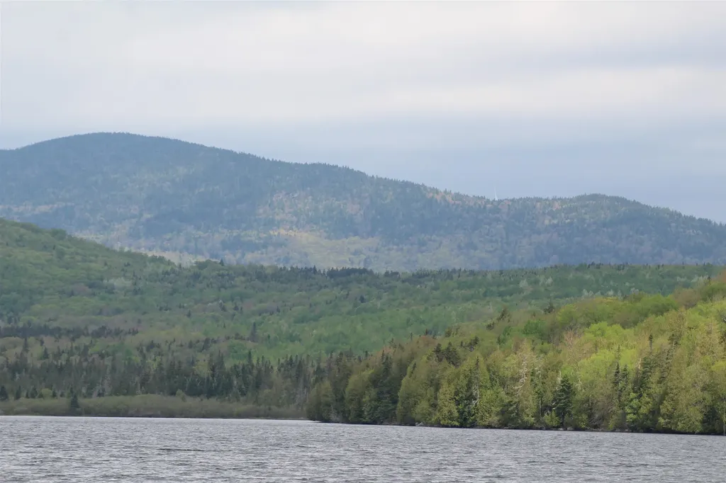 49 Pond Outlet Road Millsfield NH 03576