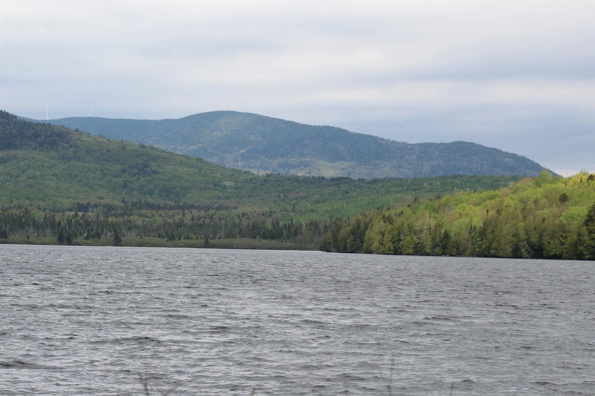 49 Pond Outlet Road Millsfield NH 03576