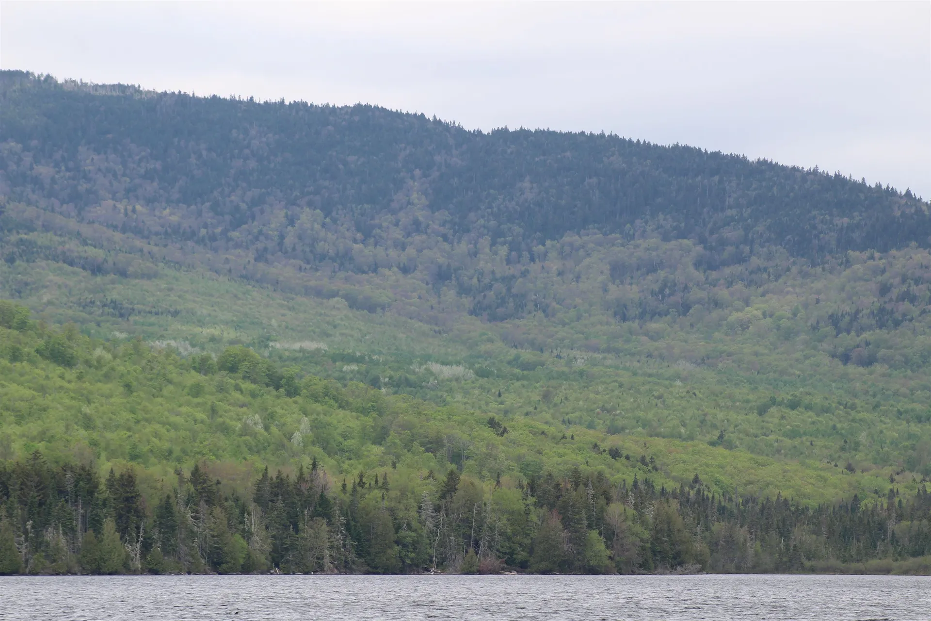 49 Pond Outlet Road Millsfield NH 03576