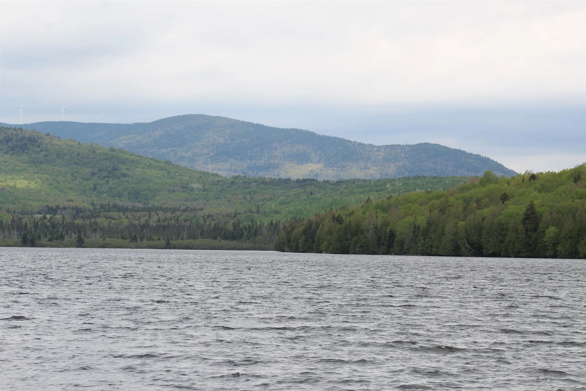 49 Pond Outlet Road Millsfield NH 03576