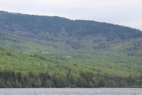 49 Pond Outlet Road Millsfield NH 03576